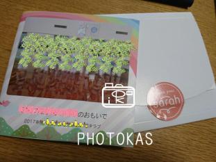 ありがとうの気持ちをフォトブックに_写真整理のPHOTOKAS