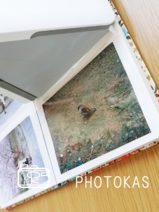 アルバムの写真整理、できていますか?03_新講座のおしらせ_写真整理のphotokas