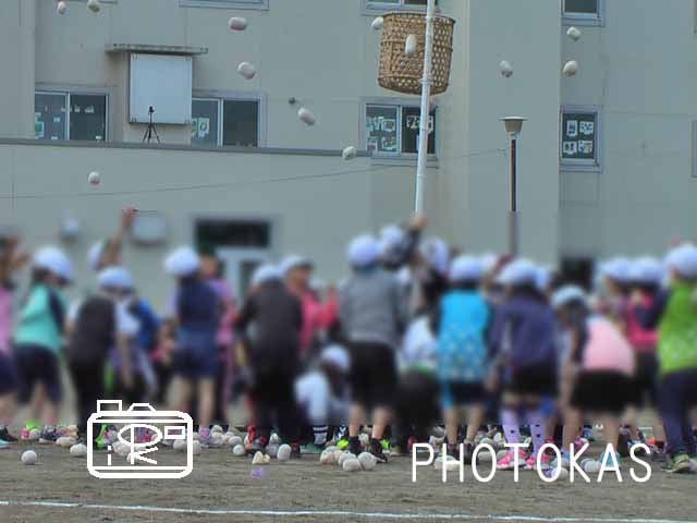 運動会の写真もすぐにすっきり整理！03_写真整理のPHOTOKASフォトカス