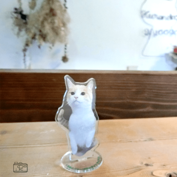 アクリルフォトグッズ作成お好きなペットこども家族写真一枚で台座付きアクリルフォトスタンドや反射板付きキーホルダーインテリア_写真整理アドバイザーPHOTOKASフォトカス