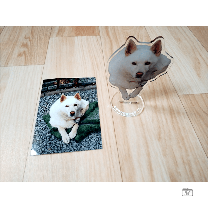 アクリルフォトグッズ作成お好きな写真一枚で成人式七五三ペット記念日スマホプリント写真でも台座付きアクリルフォトスタンドや反射板付きキーホルダー_写真整理アドバイザーPHOTOKASフォトカス3