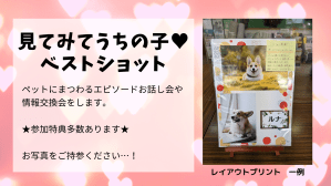 見てみてうちの子♥ベストショットペット自慢エピソード披露情報交換会写真で話そう写真プリントサービス